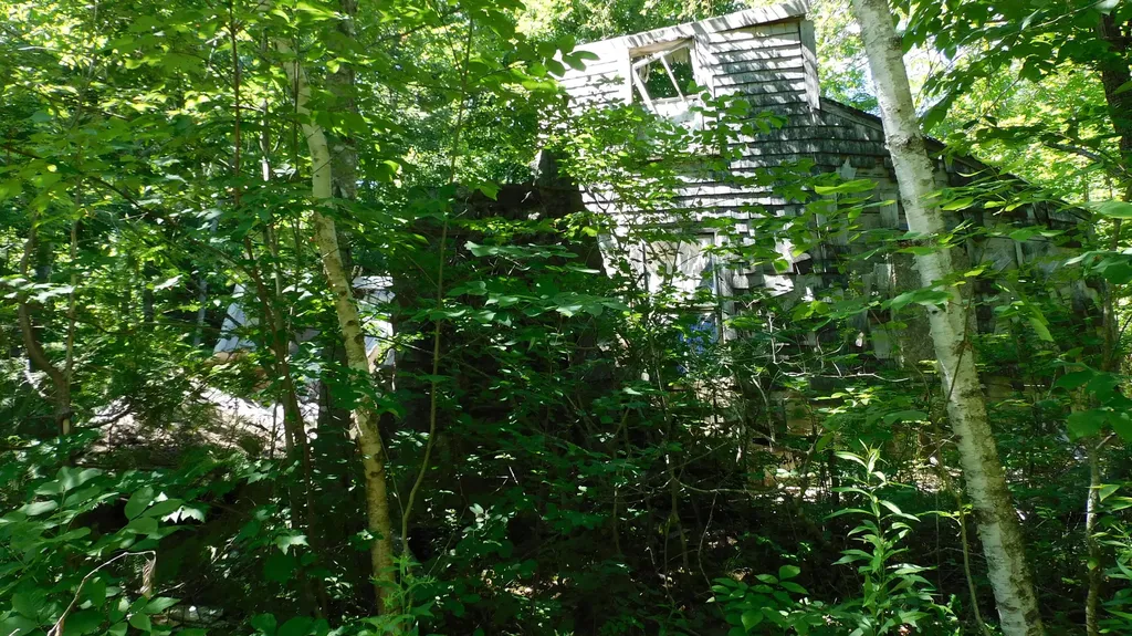 47 Tranquility Lane Perry ME 04667