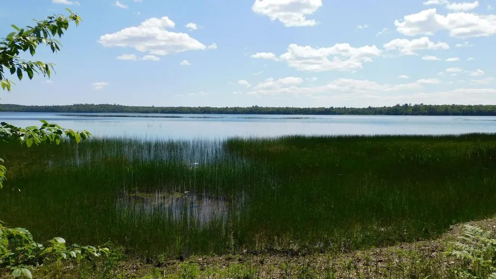 47 Tranquility Lane Perry ME 04667