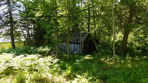 47 Tranquility Lane Perry ME 04667