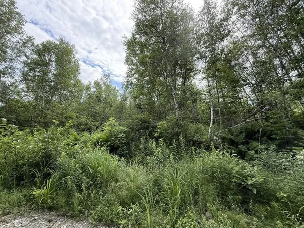 Map 24 Old County Road Charlotte ME 04666