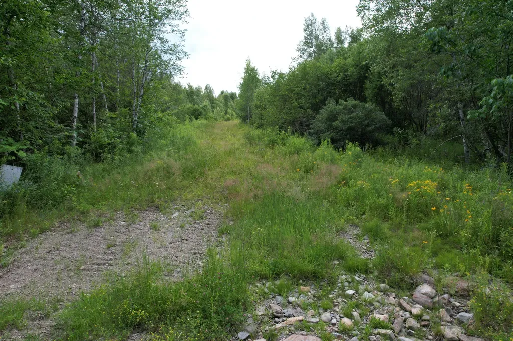 Map 24 Old County Road Charlotte ME 04666