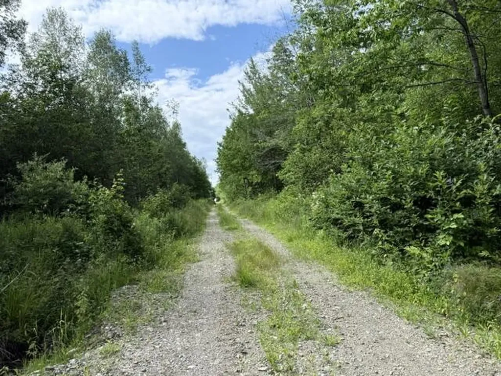 Map 24 Old County Road Charlotte ME 04666