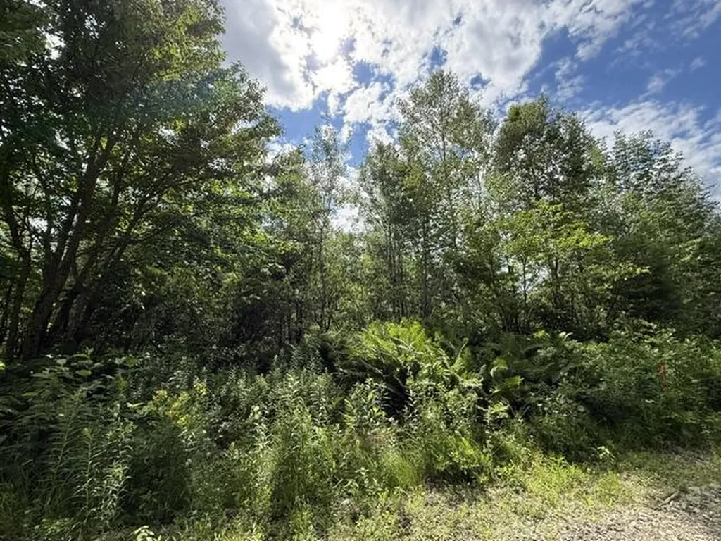 Map 24 Old County Road Charlotte ME 04666