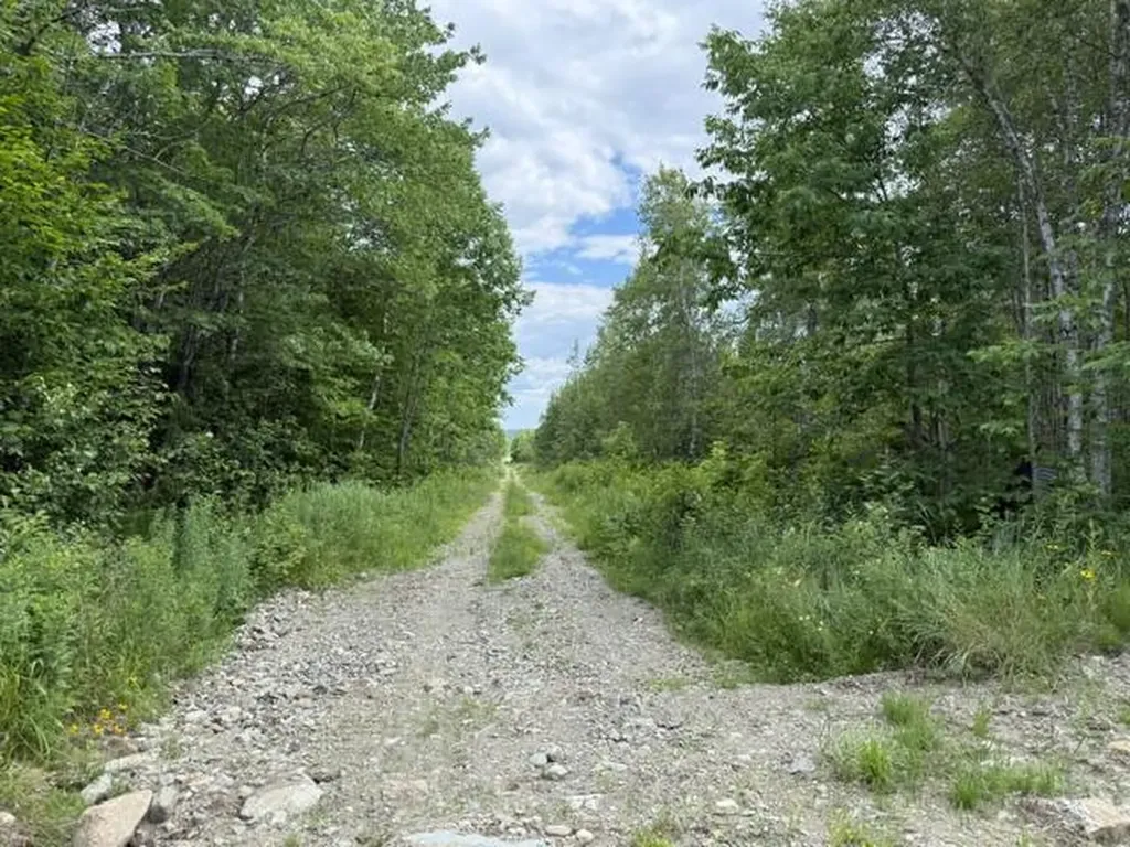 Map 24 Old County Road Charlotte ME 04666