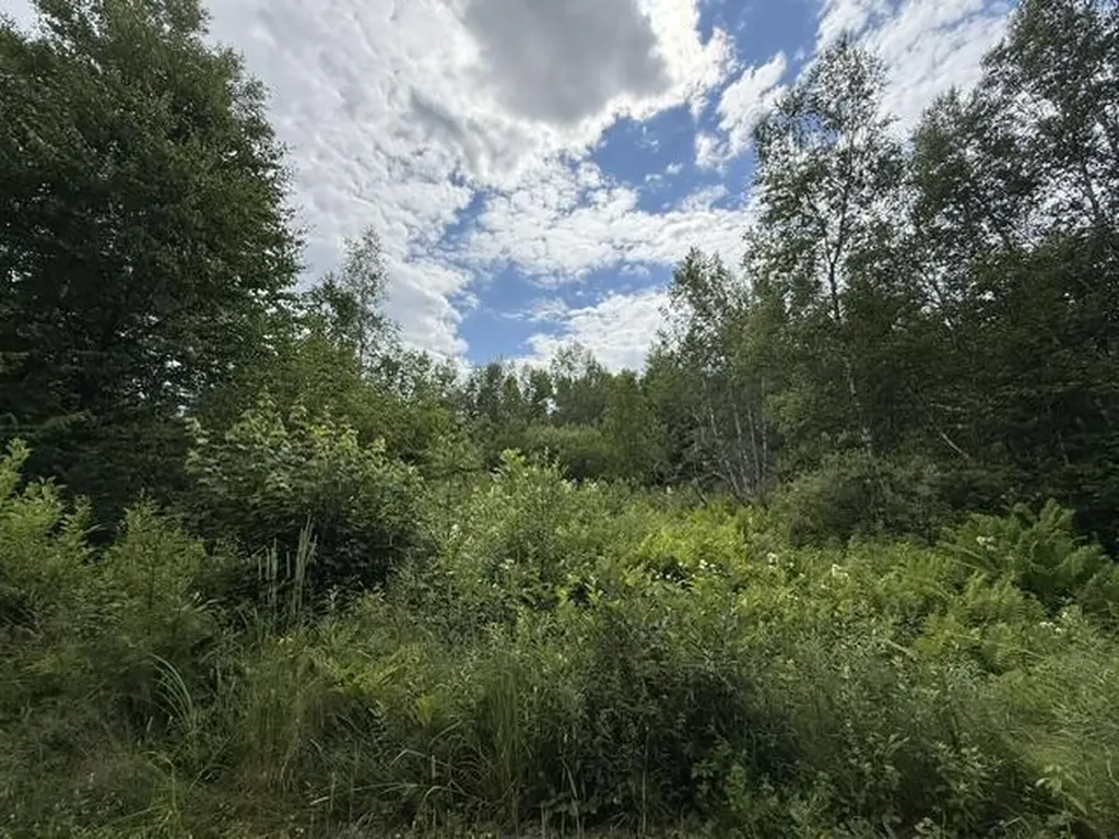 Map 24 Old County Road Charlotte ME 04666