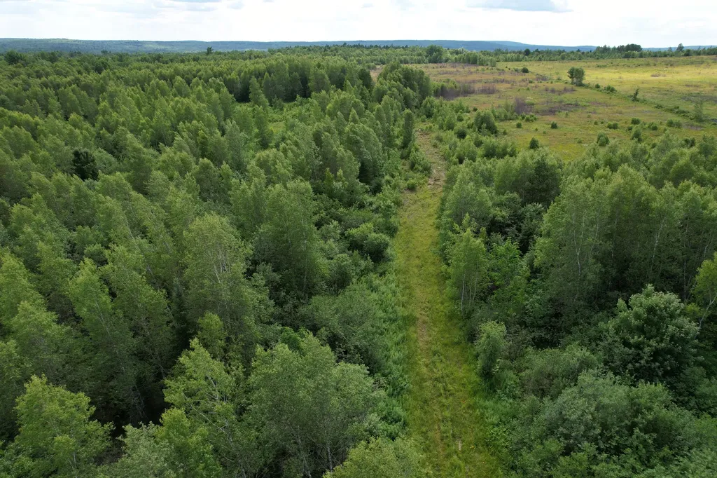 Map 24 Old County Road Charlotte ME 04666