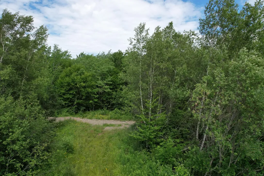Map 24 Old County Road Charlotte ME 04666