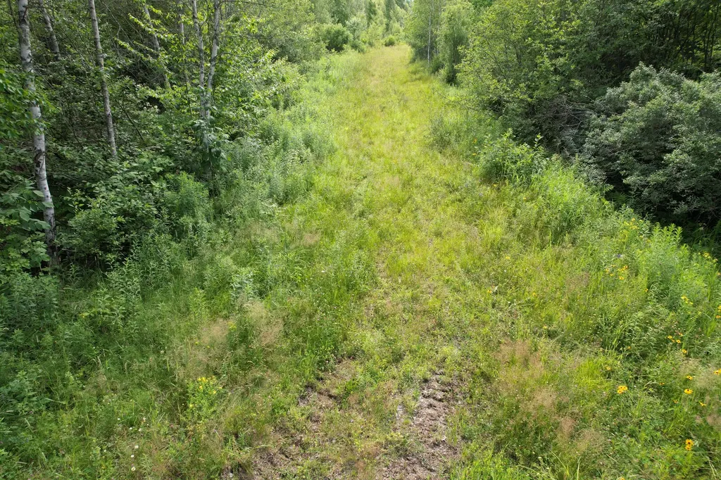 Map 24 Old County Road Charlotte ME 04666
