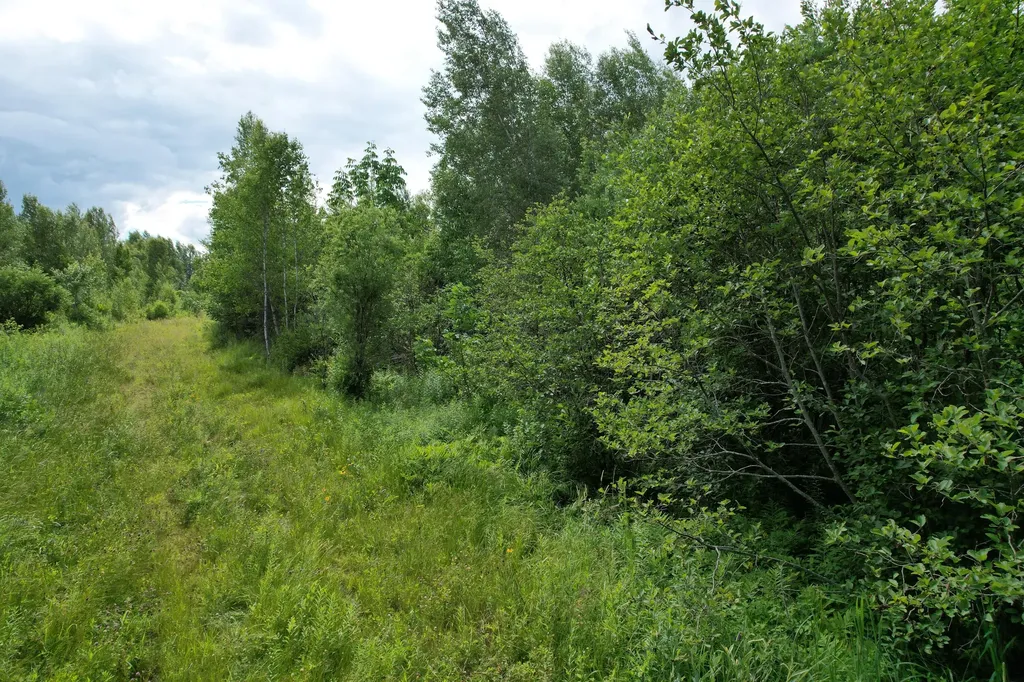 Map 24 Old County Road Charlotte ME 04666