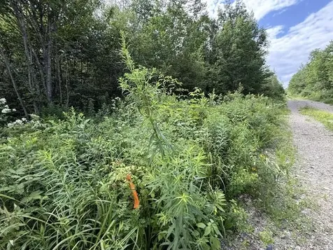 Map 24 Old County Road Charlotte ME 04666
