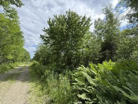 Map 24 Old County Road Charlotte ME 04666