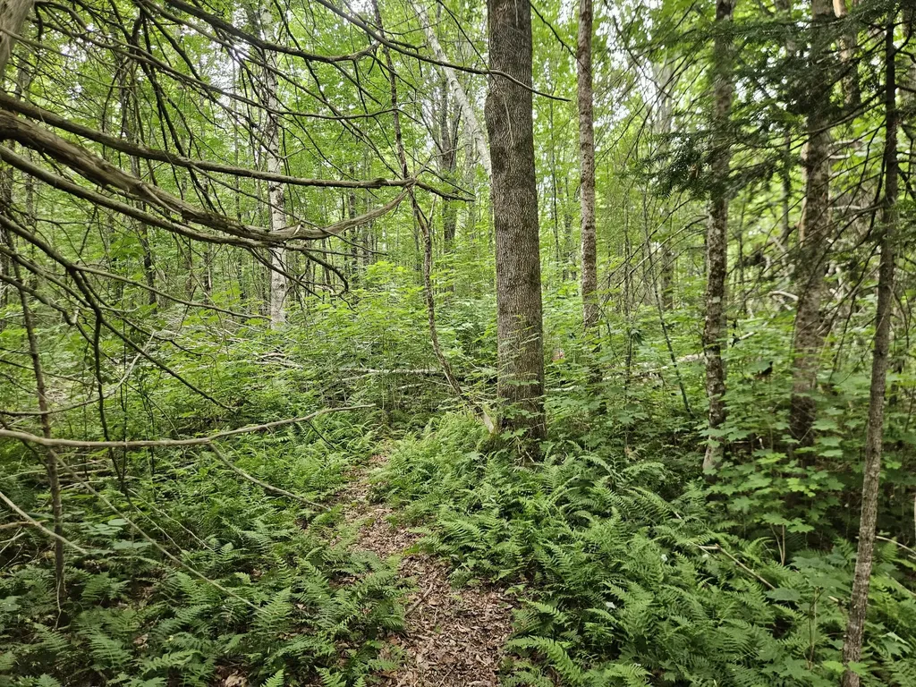 10 Moosehorn Road Abbot ME 04406