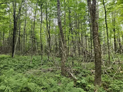 10 Moosehorn Road Abbot ME 04406