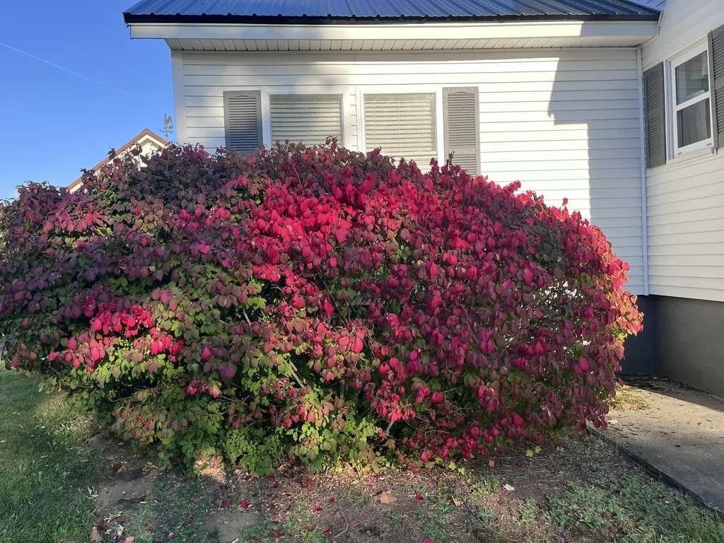 35 Harrison Avenue Dover-foxcroft ME 04426
