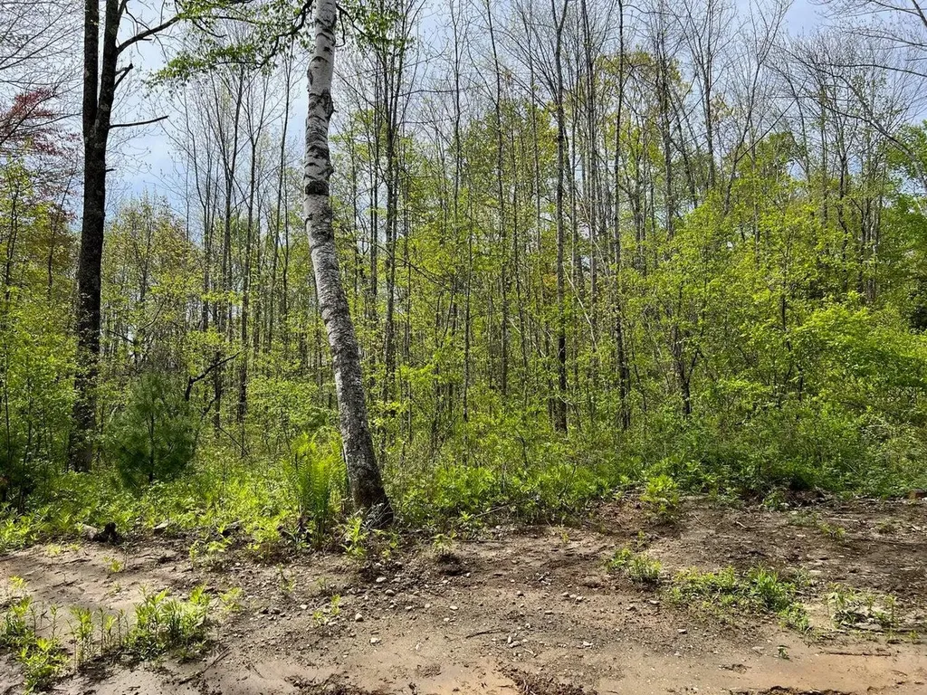 Lot 0 Fairbanks Drive Rockport ME 04856