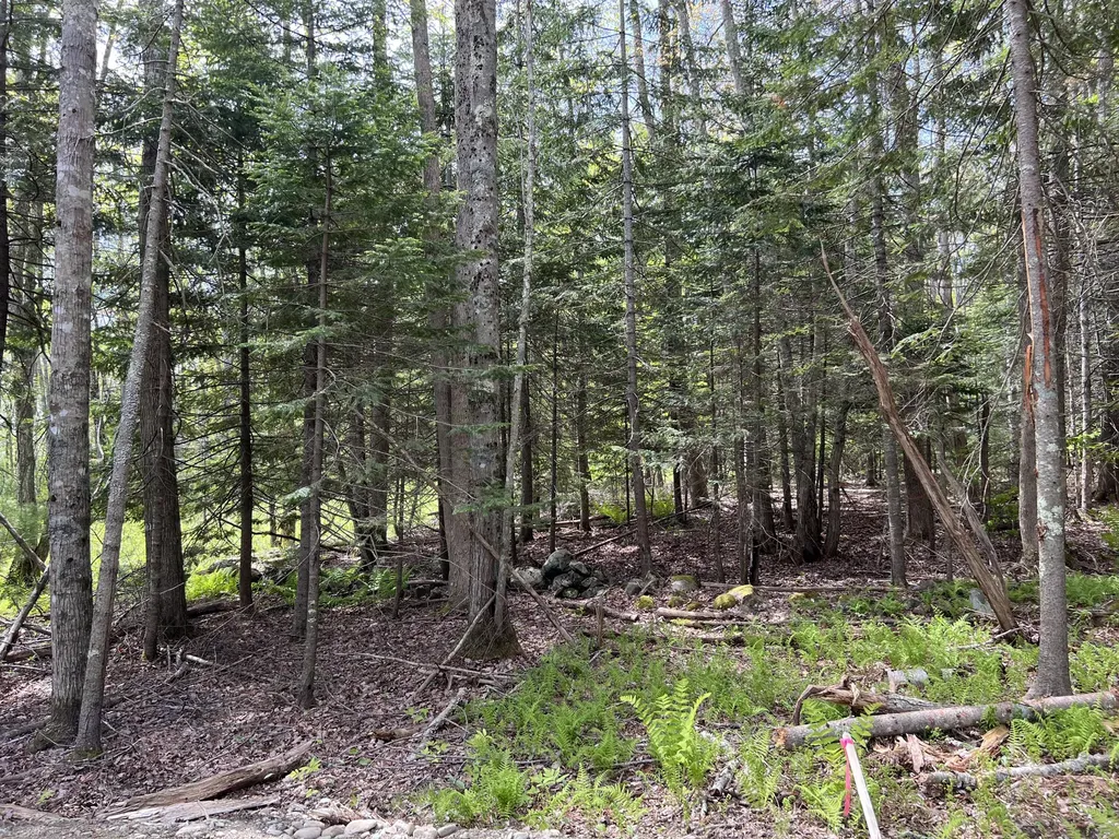 Lot 0 Fairbanks Drive Rockport ME 04856
