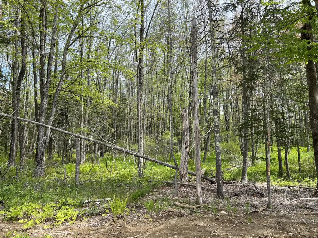 Lot 0 Fairbanks Drive Rockport ME 04856