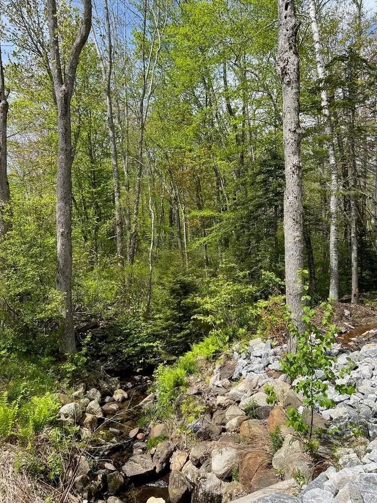 Lot 0 Fairbanks Drive Rockport ME 04856