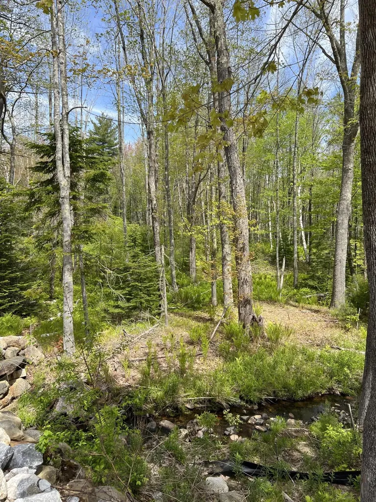 Lot 0 Fairbanks Drive Rockport ME 04856