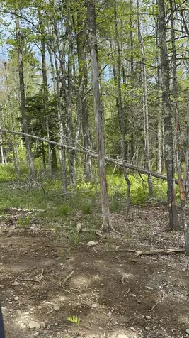 Lot 0 Fairbanks Drive Rockport ME 04856