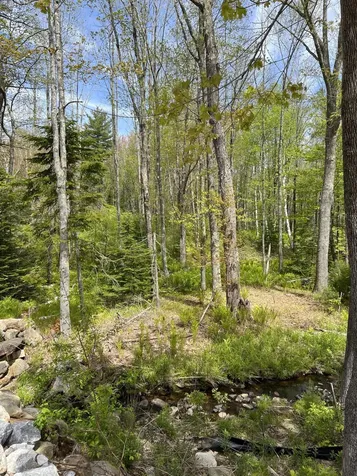 Lot 0 Fairbanks Drive Rockport ME 04856