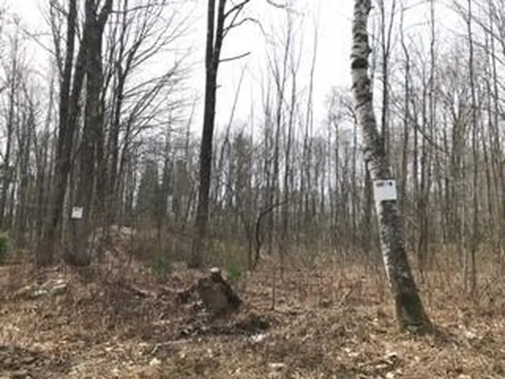 Lot 1 Fairbanks Drive Rockport ME 04856