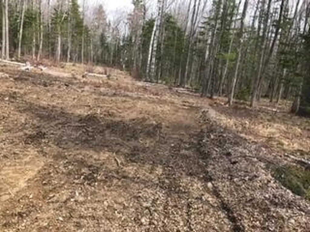 Lot 1 Fairbanks Drive Rockport ME 04856