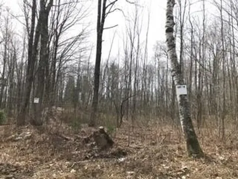 Lot 1 Fairbanks Drive Rockport ME 04856