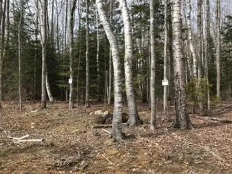 Lot 1 Fairbanks Drive Rockport ME 04856
