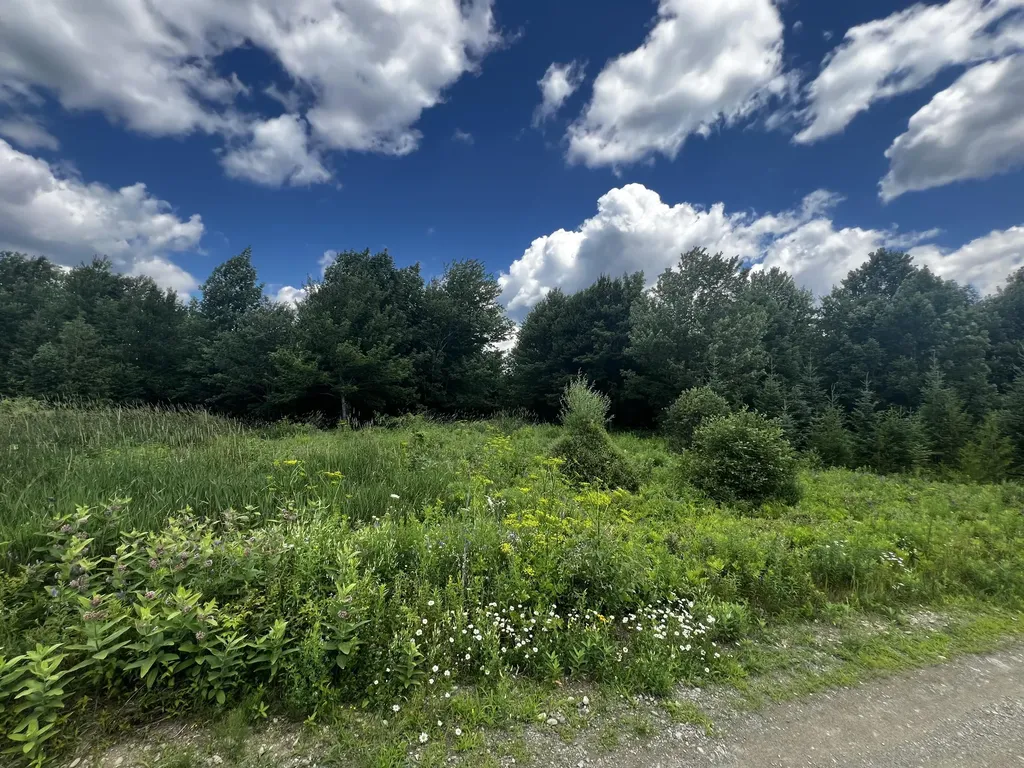11 Davis Brook Road Amity ME 04471