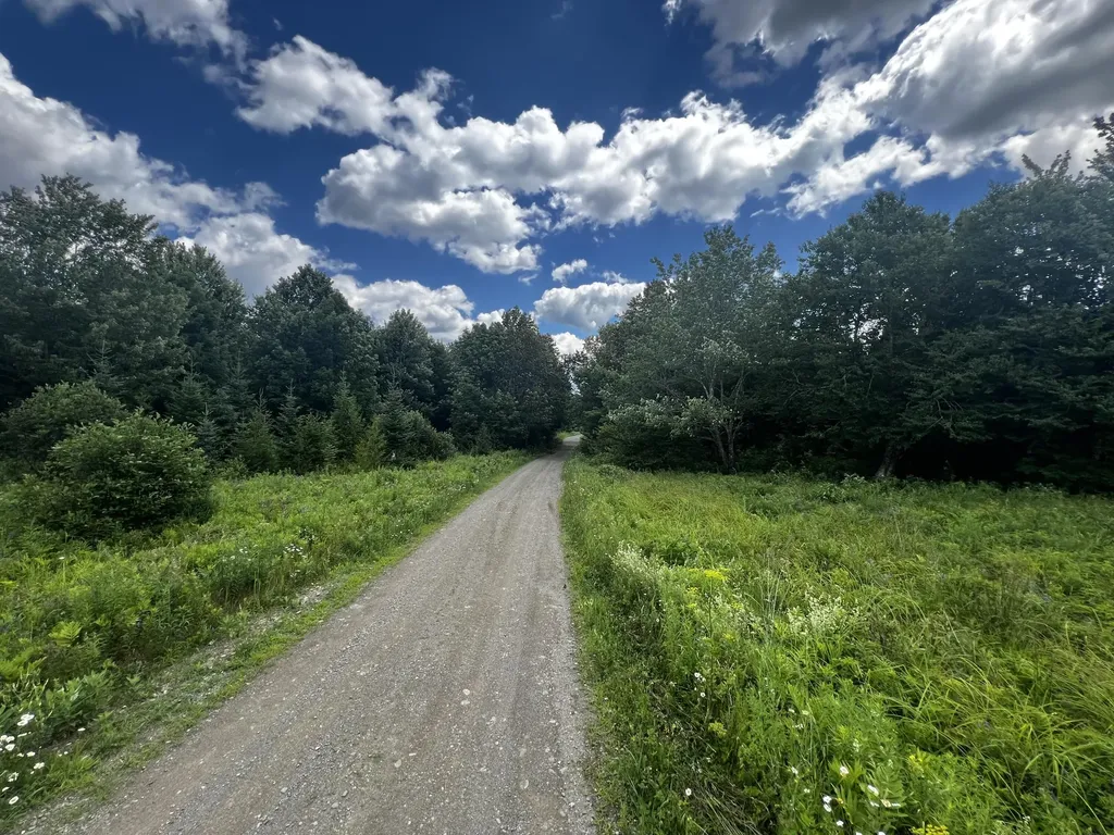 11 Davis Brook Road Amity ME 04471