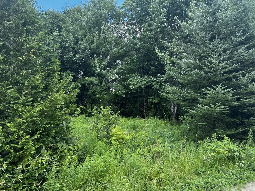 11 Davis Brook Road Amity ME 04471