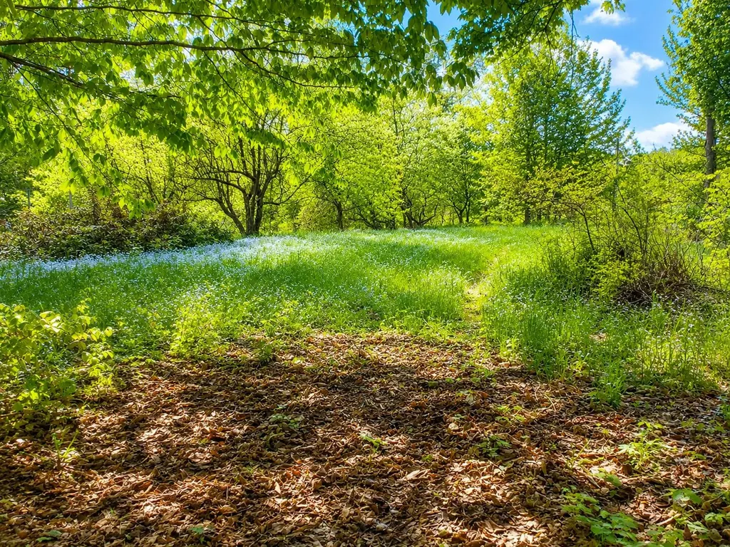 62 Lakeshore Drive Presque Isle ME 04769