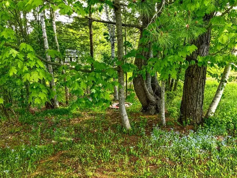 62 Lakeshore Drive Presque Isle ME 04769