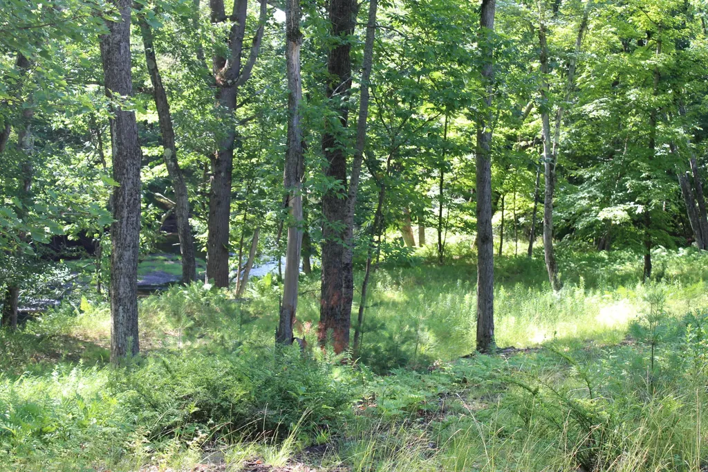 67 Main Street Norway ME 04268
