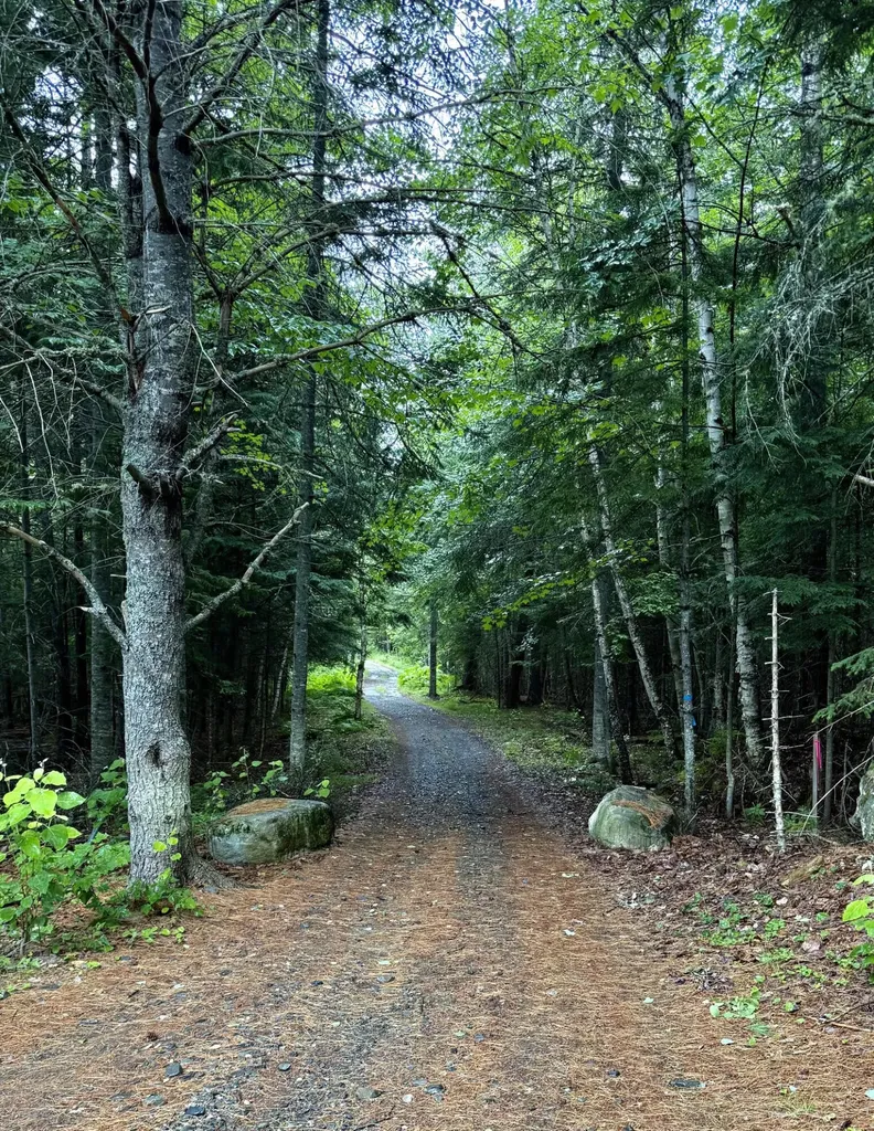 3 Forest Depths Road Beaver Cove ME 04441