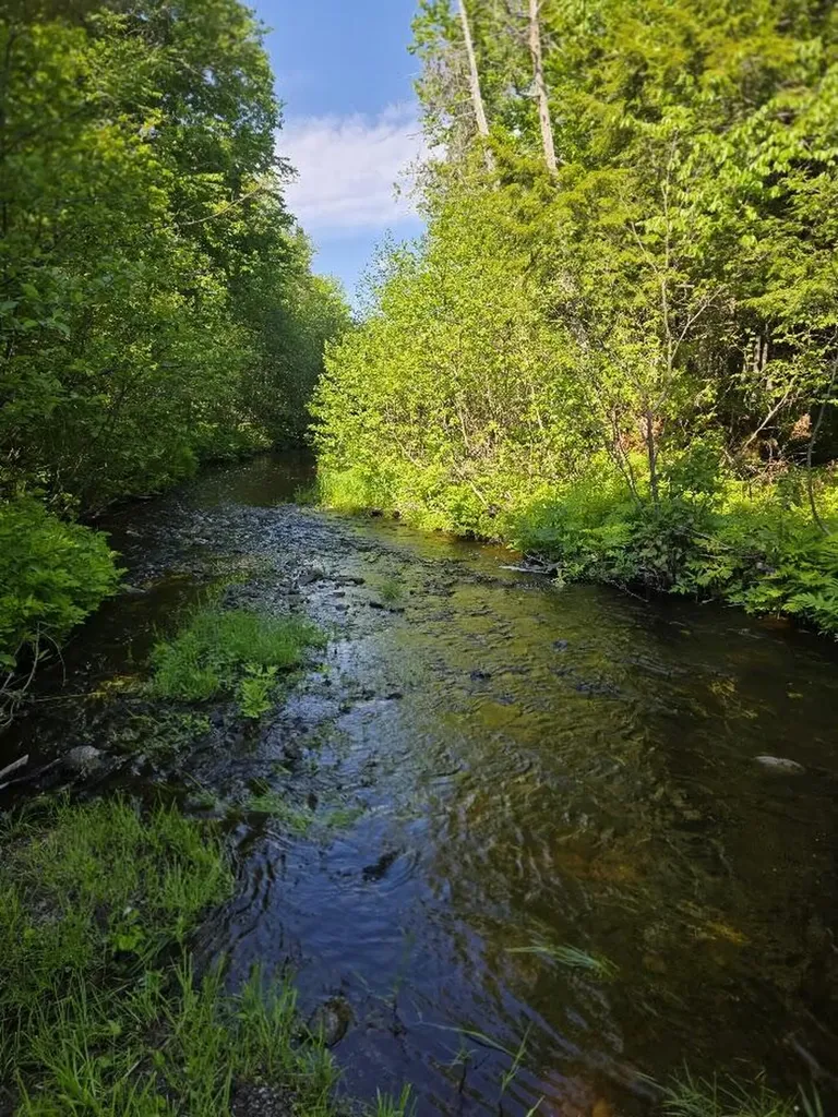 Lot 10 Davis Brook Road Amity ME 04471