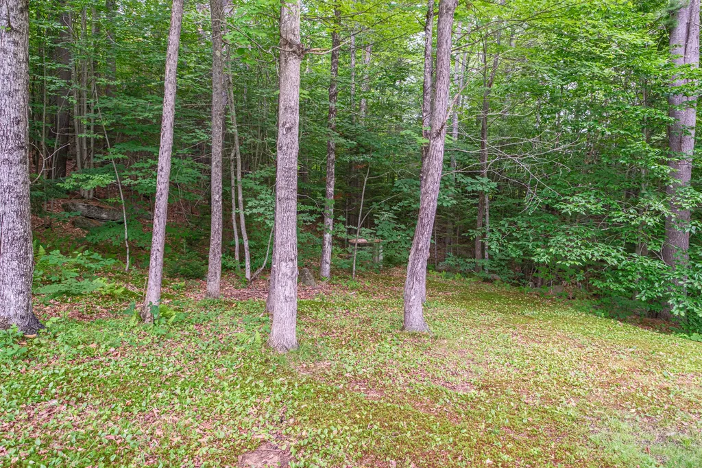 91 E Bethel Road Bethel ME 04217