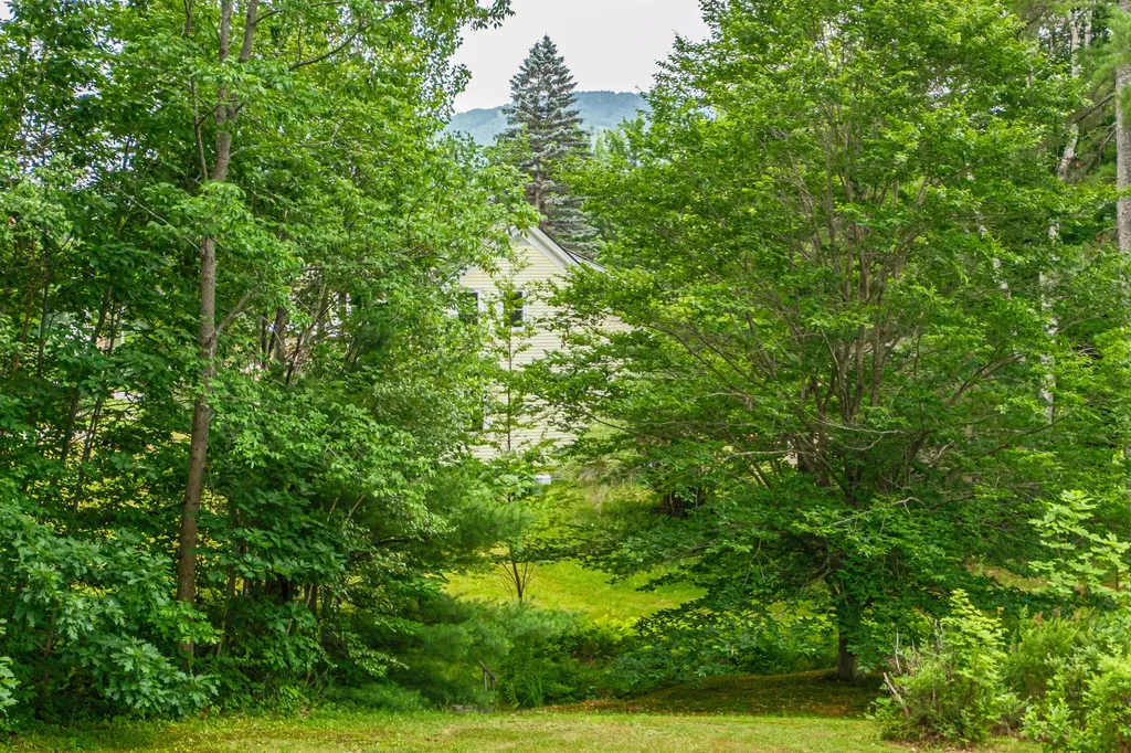 91 E Bethel Road Bethel ME 04217