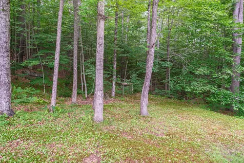 91 E Bethel Road Bethel ME 04217