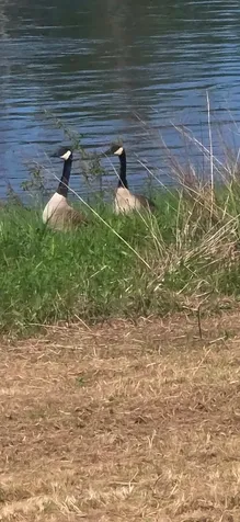 44 Washburn Road Presque Isle ME 04769