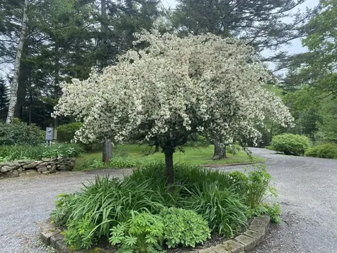 33 + 30 Taylor Road Westport Island ME 04578