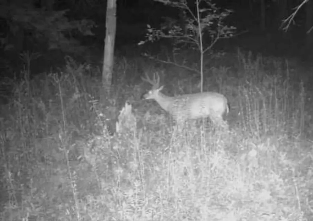 3 Bradley Drive Harmony ME 04942