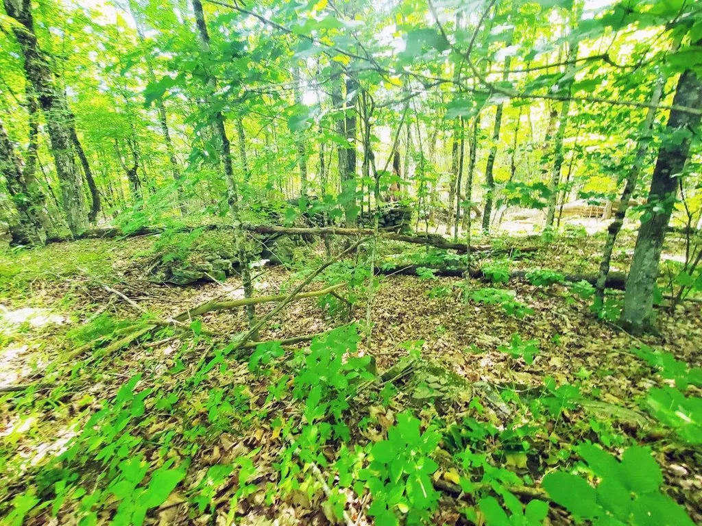 501 Pullen Woods Road Palermo ME 04354