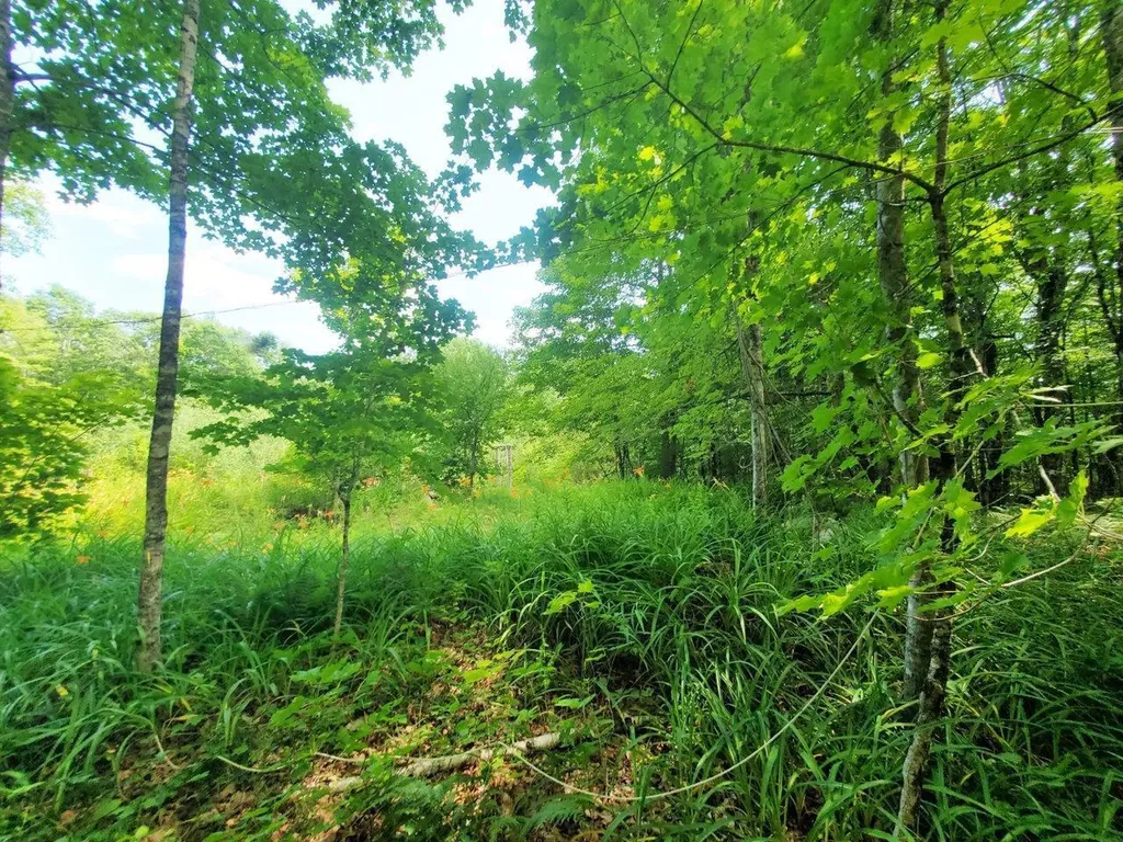 501 Pullen Woods Road Palermo ME 04354