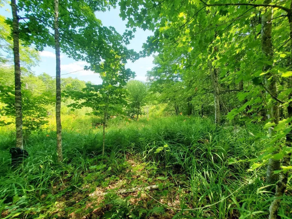 501 Pullen Woods Road Palermo ME 04354