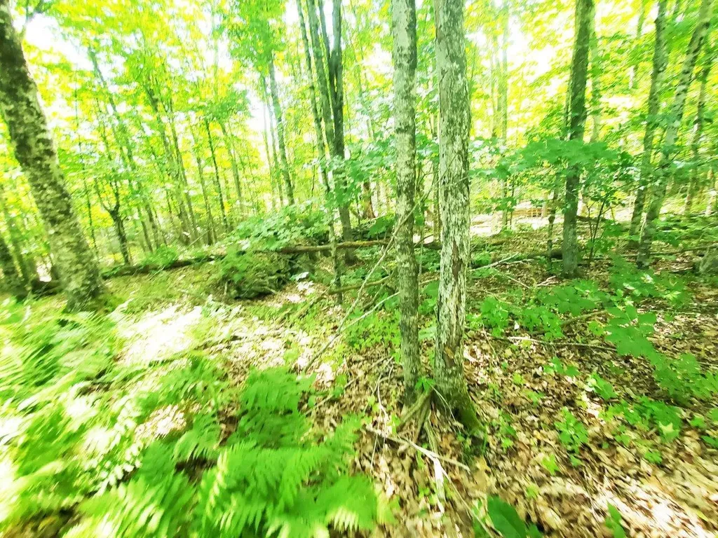 501 Pullen Woods Road Palermo ME 04354