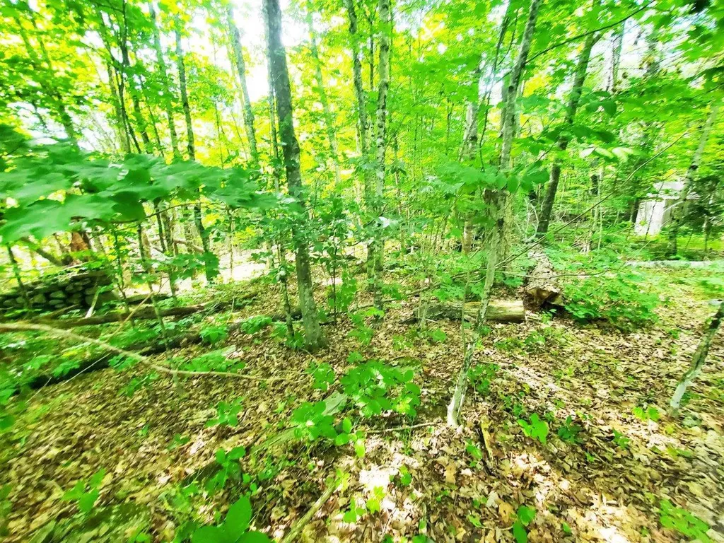501 Pullen Woods Road Palermo ME 04354