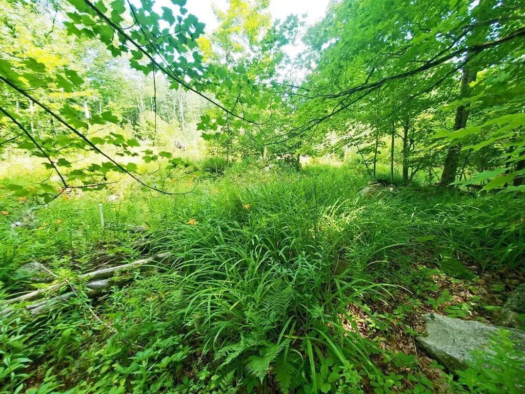 501 Pullen Woods Road Palermo ME 04354