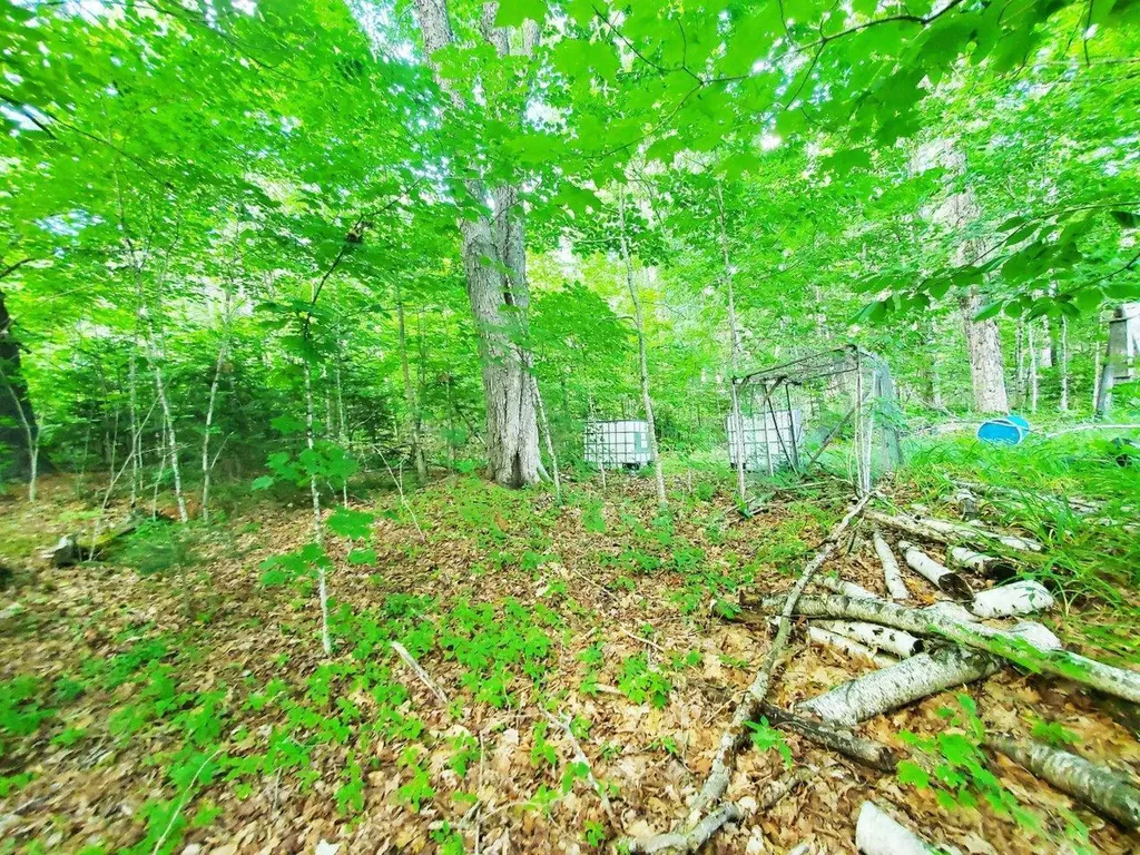 501 Pullen Woods Road Palermo ME 04354